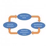 El ciclo del branding